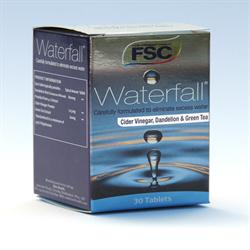 FSC Herbal Waterfall 30 Tablets Online Hot Sale