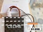 Envy Hold - Celine Bags - 1191 Hot on Sale