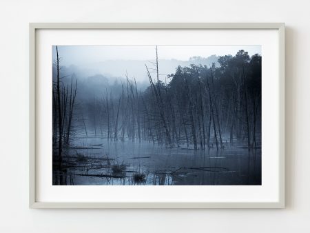 Morning Mist Haliburton Forest | Wall Art For Sale