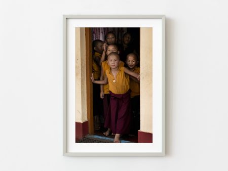 Young Buddhist Monks | Wall Art Online