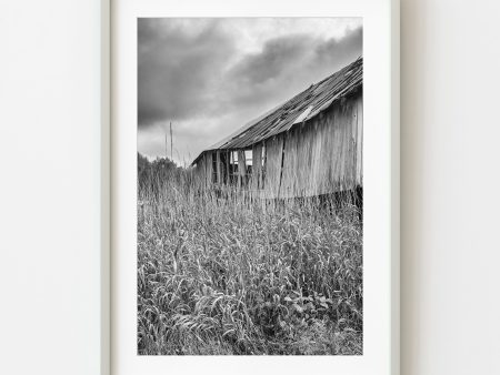 Abandoned Barn in Ontario Landscape | Wall Art Hot on Sale