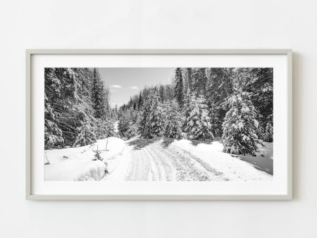 Fresh snow snowmobile trail Haliburton Ontario | Wall Art Fashion