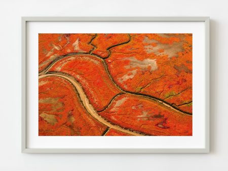 Alaskan Autumn Blaze | Wall Art Online Hot Sale